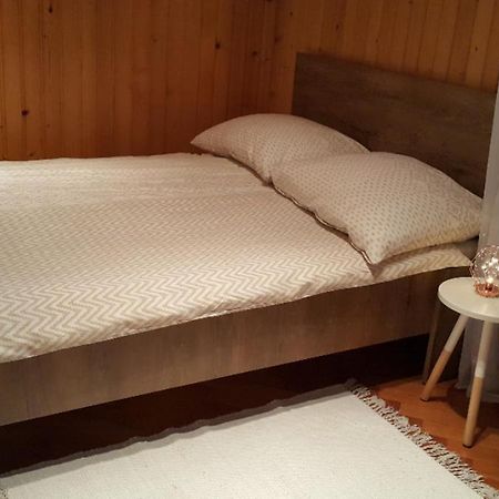 Ljubljana City Centre Apartment المظهر الخارجي الصورة